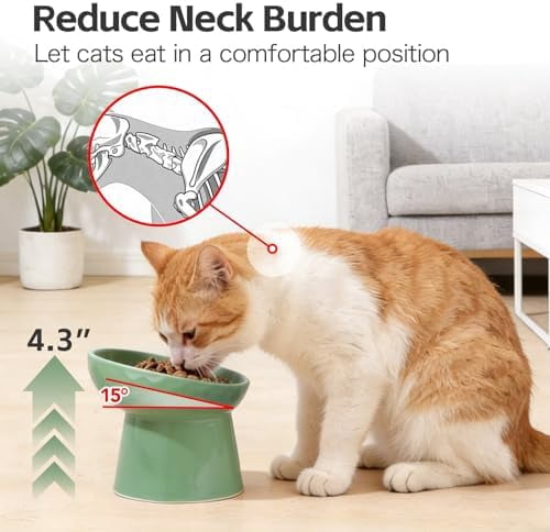 Raised Cat Bowl, Elevated Cat Food Bowls with Tilted Angle, Stress Free, Anti Vomiting, Ceramic Water Bowl for Cats Small Dogs Feeding Dish, 8 Ounces (Green-1)