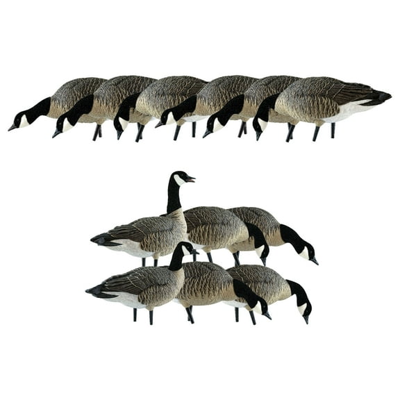Avian X AXP Honkers Fusion Pack Decoys Bundled with Lessers 6 Piece Fusion