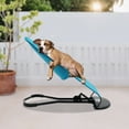 thumbnail image 3 of TFCFL Portable Cat Rocking Chair Dog Snoring Chair Bed Rest Accessories Pet Rocking Chair, 3 of 22