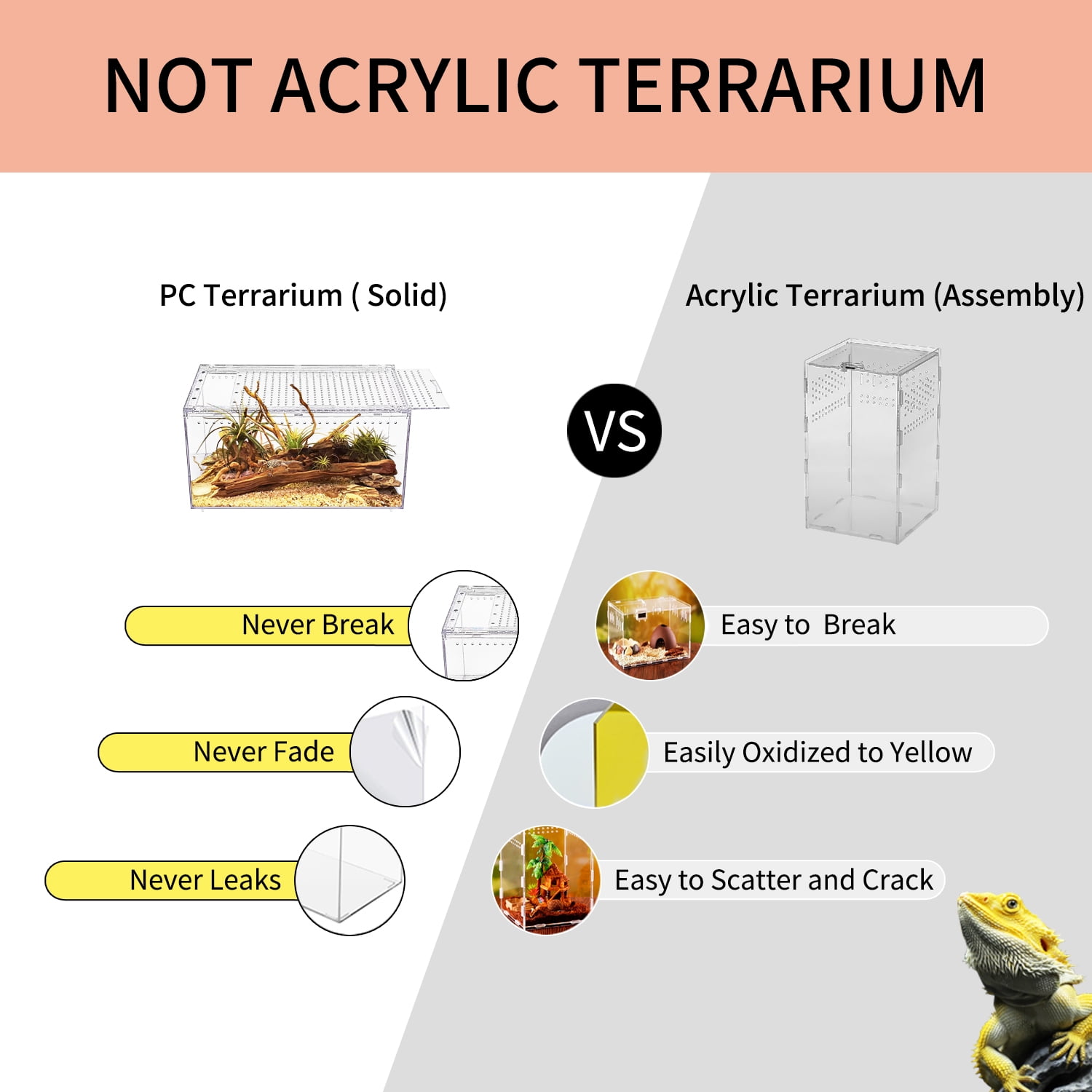 Reptile Terrarium 12" x 8" x 6", for Insect,Fish,Tarantula,Hermit Crab,Jumping Spider
