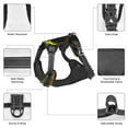 thumbnail image 6 of Lsque Five Nights At Freddy'S Dog Harness, No-Pull Pet Harness with 2 Leash Clips, Adjustable Soft Padded Dog Vest with Easy Control Handle for Large Dogs-Large, 6 of 9