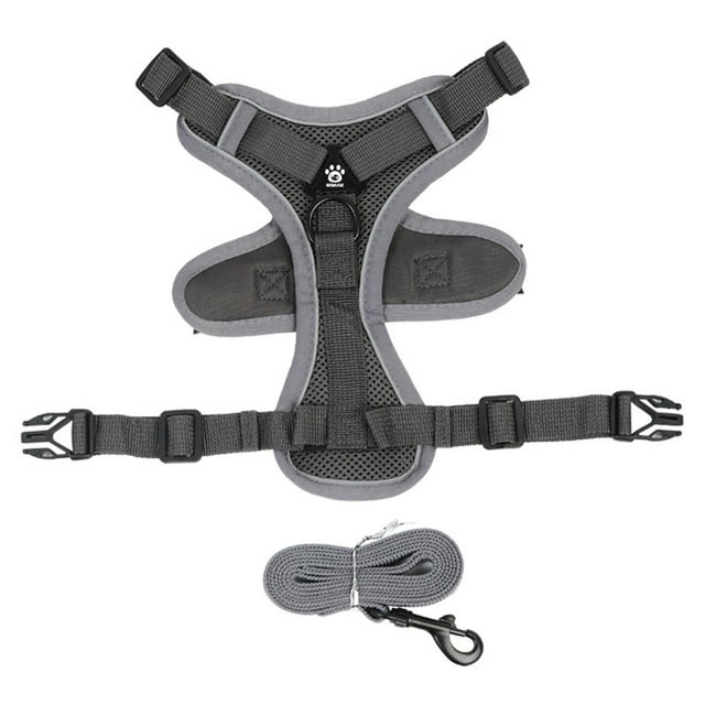 Correa para perros y gatos, arnés ajustable de malla con tiras reflectantes para interior y exterior, paseos y entrenamiento.