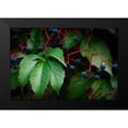 thumbnail image 2 of Geyman, Vitaly 14x11 Black Modern Framed Museum Art Print Titled - Vinyard Mozaic, 2 of 5