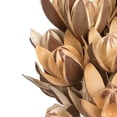 thumbnail image 6 of Vickerman Natural Botanicals 20" Lily on Stem. Includes 50 Stems per Pack, 6 of 8