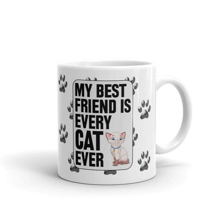 My Best Friend is Every Cat Ever Coffee Tea Ceramic Mug Office Work Cup (Best Coffee Cup Ever)