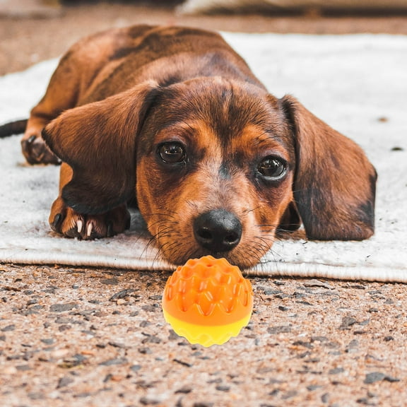 WRITWAA Cognitive Dog Toys Set, Round PP Chew Toys for Gum Massage and Teeth Cleaning, Pet Care