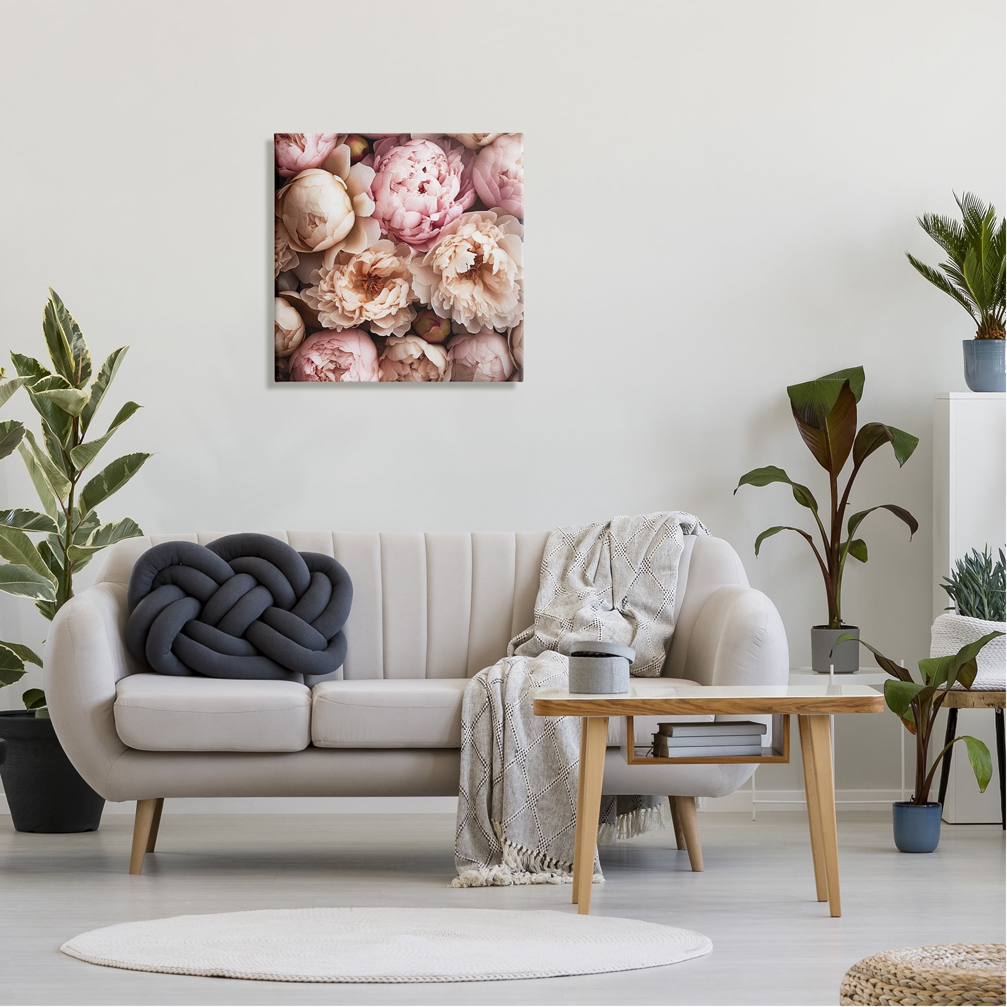 Stupell Industries Soft Peonies Photography Botanical & Floral Photography Gallery Wrapped Canvas Art Print Wall Art, 24 x 24