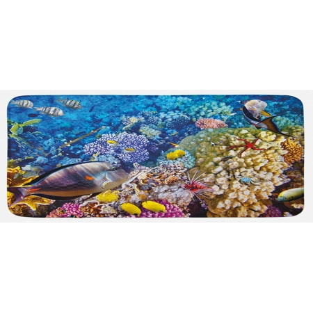 

Fish Kitchen Mat Egyptian Red Sea Bottom View with Marine Creatures Top of Tribal Ocean Scuba Image Plush Decorative Kitchen Mat with Non Slip Backing 47 X 19 Multicolor by Ambesonne