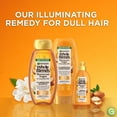 thumbnail image 6 of Garnier Whole Blends Shampoo with Moroccan Argan & Camellia Oils Extracts 12.5 FL OZ, 6 of 9