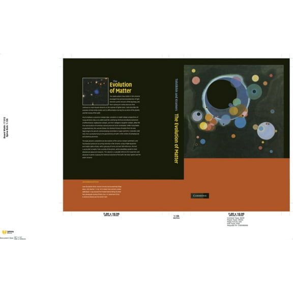 The Evolution of Matter: From the Big Bang to the Present Day, (Hardcover)