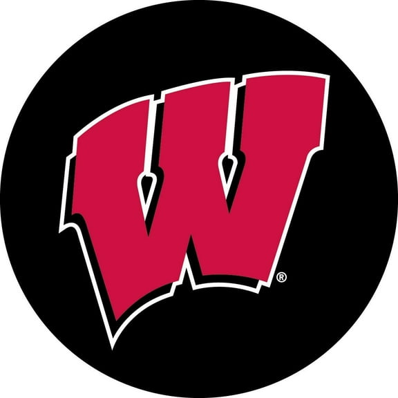 FanNut.com Wisconsin Badgers Decal RR 4" Round Vinyl Auto Home Window Glass University of