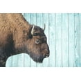thumbnail image 2 of Phillip, Jamie 18x13 White Modern Wood Framed Museum Art Print Titled - Bison Trail, 2 of 4