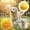 Orange, variant on Natural Squeaker Chew Ball for Aggressive Chewers – Indestructible Tough Dog Toy with Tensile Strength, Fillable Pocket & Teeth Cleaning Texture for Large Medium Small Dogs,1Pc