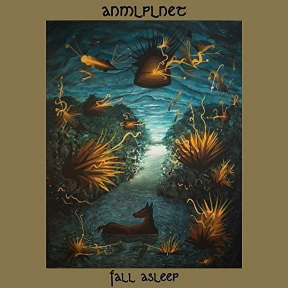 Anmlplnet - Fall Asleep - Music & Performance - Vinyl