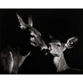 thumbnail image 2 of Chapman, Julie T. 14x12 Gold Ornate Wood Framed with Double Matting Museum Art Print Titled - Scratchboard Mother Love #2, 2 of 4