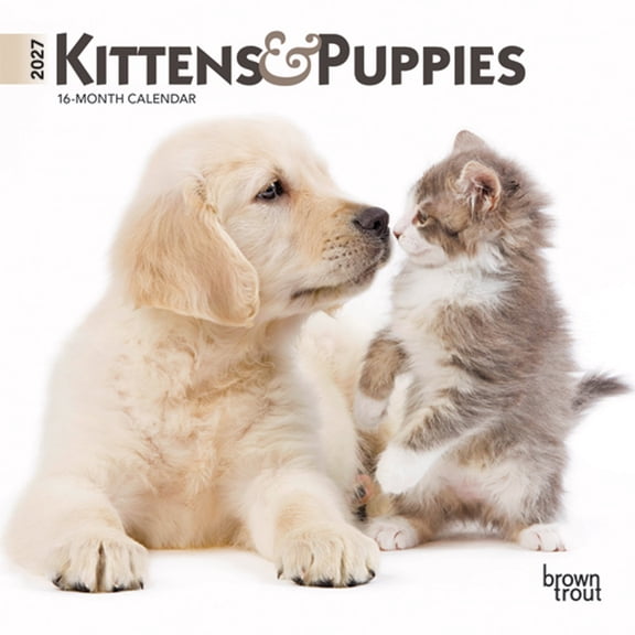 Kittens & Puppies 2027 7 X 14 Inch (Hanging) Monthly Mini Wall Calendar, (Paperback)