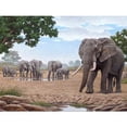 thumbnail image 1 of Pintura de diamante (DE6391) Dibujo de elefante cuadrado 5D DIY 50x70cm Hugtrwg Para estrenar, 1 of 1