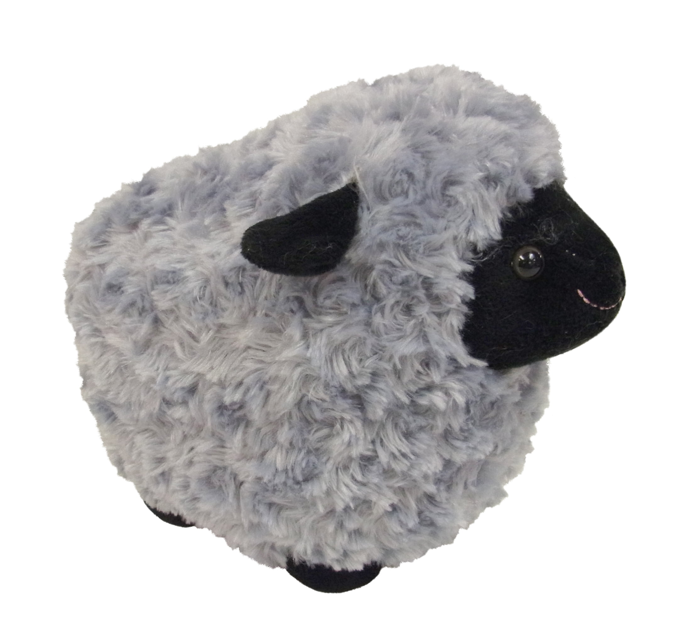 black sheep teddy