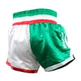 thumbnail image 3 of Fire Sports Short Muay Thai Fuerza Tricolor Grande FIRE SPORTS short/ Muay Thai/Entrenamiento, 3 of 3