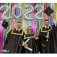thumbnail image 3 of PMU Graduation 2022 - New Years 2022 Silver Balloons with Multicolor Curtain Backdrop Party Kit Decorations Pkg/1, 3 of 6