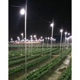 thumbnail image 2 of E27 Socket 7W Flower Plant Grow Bombilla AC85V-265V el crecimiento - Luz calida Baoblaze Bombilla de luz LED para cultivo, 2 of 7