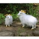 thumbnail image 4 of Figura de animal Juguete de animal realista, 4 of 8