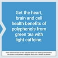 thumbnail image 6 of Life Extension Lightly Caffeinated Mega Green Tea Extract, 98% EGCG Polyphenols - Supports Cell, Heart & Brain Health - Gluten-Free, Non-GMO - 100 Vegetarian Capsules, 6 of 9
