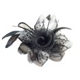 thumbnail image 1 of Pinza para el cabello Zulema Flor elegante Malla Plumas Negro, 1 of 7