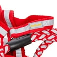 thumbnail image 3 of CUECUEPET Braided Choke Free Reflective Dog Harness and Leash for Daytime and Evening Walking, 3 of 5