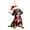 A, variant on Wmkox8yii Dachshund Christmas Ornament,Dachshund Dog Ornament for Christmas Tree,Acrylic Dachshund Dog Christmas Ornaments for Lover Dog,Christmas Decorations for Home & Car Pendant