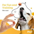 thumbnail image 6 of Turkey Tots Dog Treats for Puppy Training, All Natural Human Grade Dog Treat, US Sourced Raw Material, 6 of 6