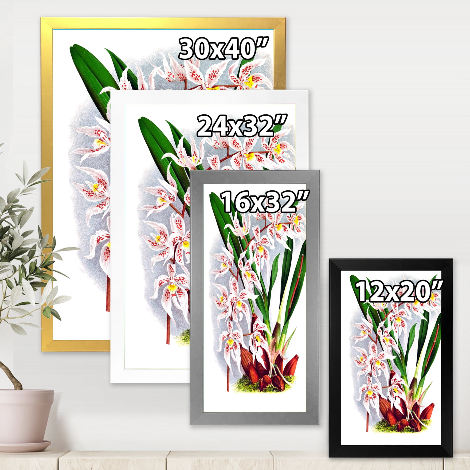 Designart 'White Vintage Orchid Flower II' Traditional Framed Art Print