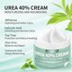 thumbnail image 5 of Crema de urea al 40% con ácido salicílico al 2%, crema de urea para eliminar callosidades secas, agrietadas y gruesas - 150 g, 5 of 5