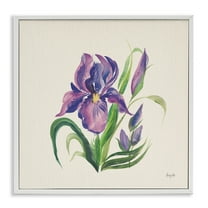Stupell Industries Purple Iris Flower Botanical & Floral Painting White Framed Art Print Wall Art, 24 x 24
