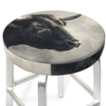 thumbnail image 3 of Balery Mystical Bull in Fog Fundas de asiento para taburete de bar redondo de tela de terciopelo ajustables que protegen de arañazos y manchas para sillas de 14 a 17 pulgadas.-12 inch, 3 of 7