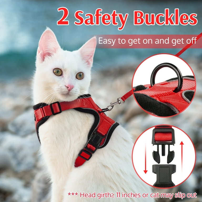 Bailey Pbb 737 Kenzo Gutierrez Rabbitgoo Cat Harness And Leash For