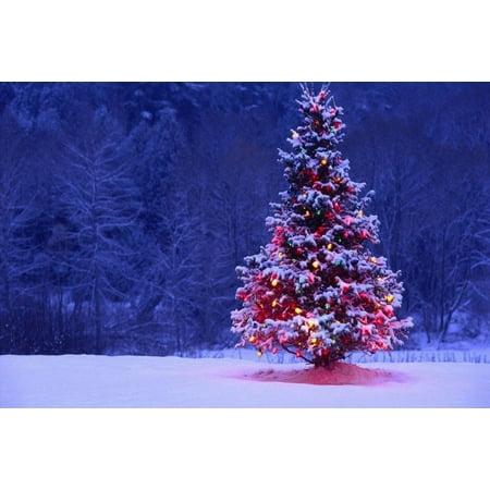 Image of HelloDecor Polyester Fabric Christmas theme 7x5ft Photography Background Backdrop