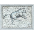 thumbnail image 2 of Jamieson, Alexander 32x25 Black Ornate Wood Framed with Double Matting Museum Art Print Titled - Maps of the Heavens: Ursa Major - The Great Bear, 2 of 4