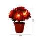 thumbnail image 3 of Tabletop Poinsettia Tree Light Christmas Plant With Lights Poinsettia Flowers Artificial Lighted For Holiday Party Centerpiece Table Decor Christmas, 3 of 5