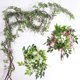 thumbnail image 2 of Enredadera Artificial de glicina, guirnalda colgante de 2 piezas, flores de seda, plantas, follaje, flor, decoración de boda, jardín y fiesta, 2 of 5