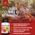 thumbnail image 3 of VALI D-Mannose with Cranberry & Hibiscus Urinary Tract Supplement, 60 Veggie Capsules, 3 of 10