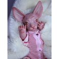 thumbnail image 4 of 2 Unidades Silicona 18 pulgadas Modelo de gato Reborn de  de cumpleaños para niños CUTICAT Molde de gato renacido, 4 of 8