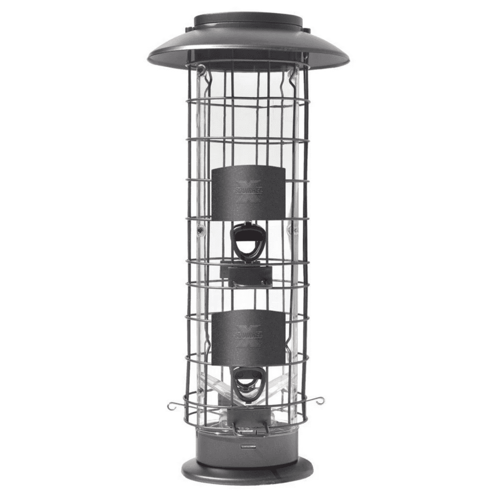 SquirrelX X4 Squirrel Resistant Tube Bird Feeder for Wild Birds