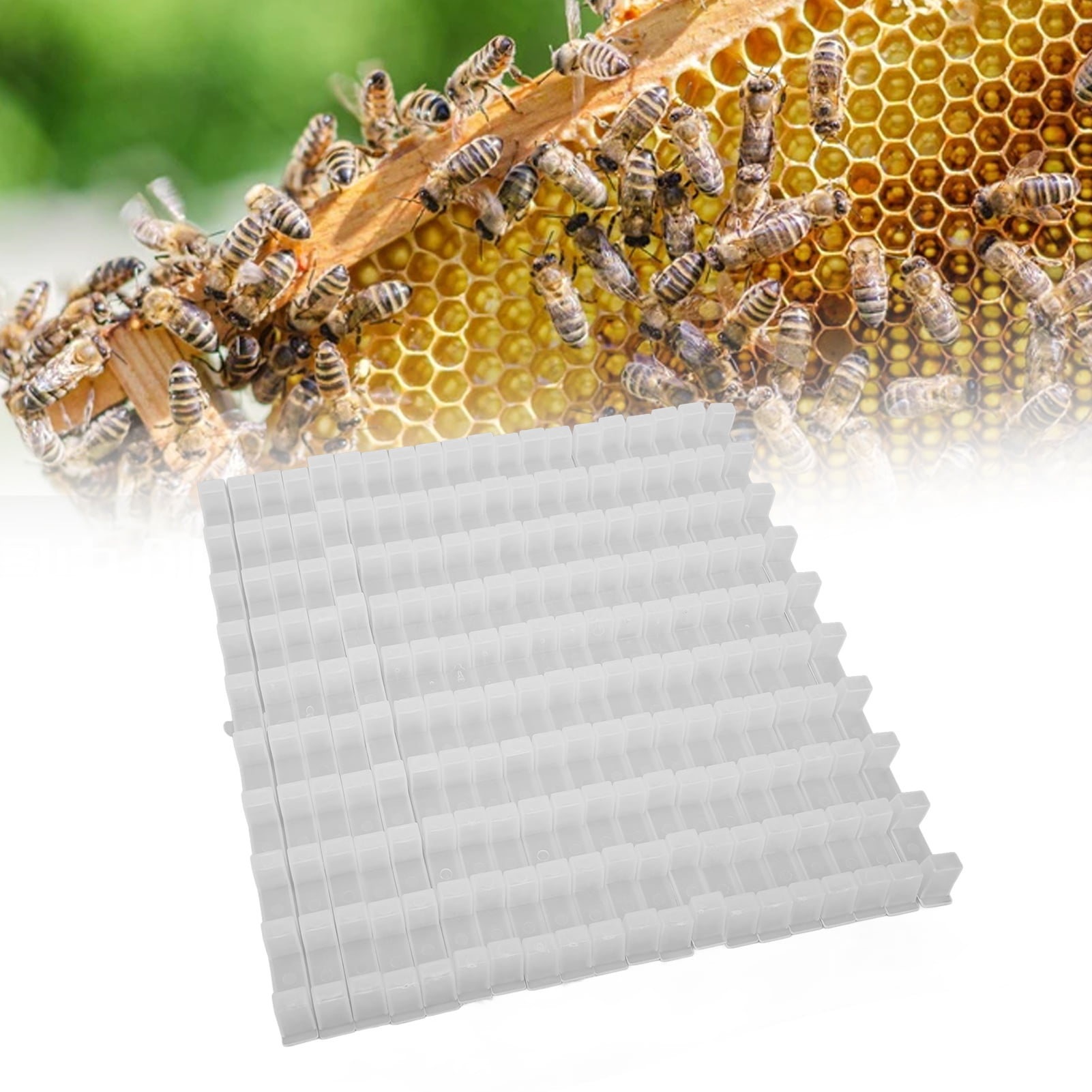 Beekeeping Equipment Plastic Frame Spacer Bee Hive Frame Spacin Hq 