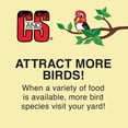 thumbnail image 6 of C & S Products No- Melt Suet Dough Woodpecker & Songbird Wild Bird Food, 10 oz- 8 Pack, Fresh (Pack of 2), 6 of 6