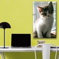 thumbnail image 2 of Cuadro Canvas Pixtreats listo para Colgar tipo galería Gatito Curioso 50X75 cm, 2 of 4