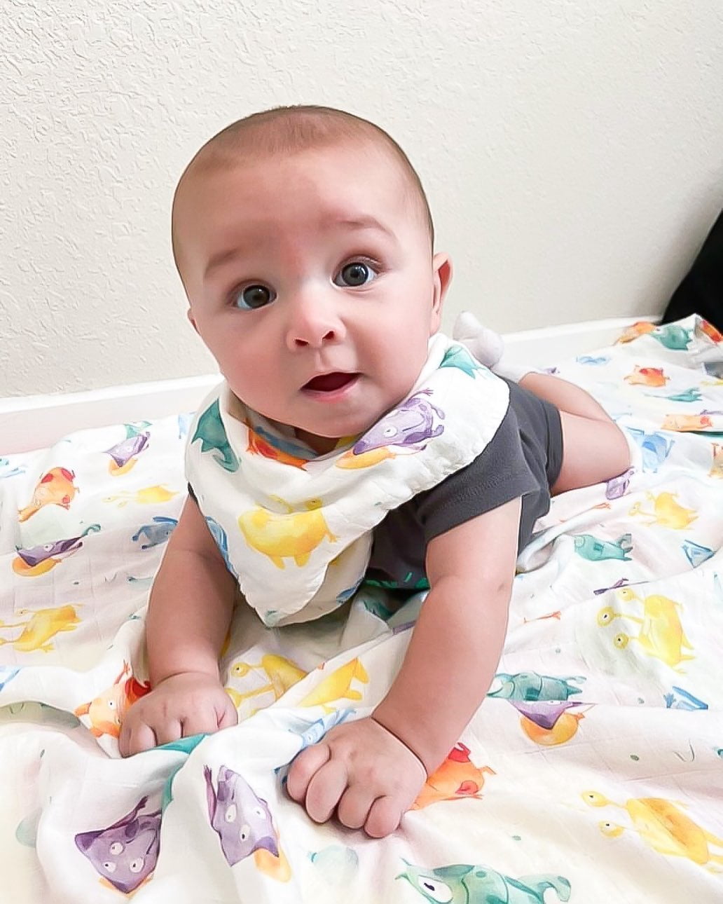 Muslin Swaddle - Monster