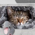 thumbnail image 6 of 1pc Sleeping Cat Absorbent Non-Slip Bathroom Thickened Flannel Rug Decor,Soft,Quick Drying,Suitable For Indoor/outdoor Use,Bathrooms,Bedrooms,Kitchens,Terrace,Laundry Rooms,16"x24", 6 of 9