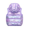 thumbnail image 4 of Chbgutlmr Baby Clothes Kids Hooded Quilted Vests Outwear Boys Girls Sleeveless Winter Warm Cute Coats 1-6 Years, 4 of 8