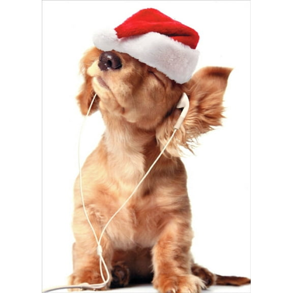Northern Exposure Puppy Wearing Earbuds and Santa Hat Cute Box of 12 Christmas Cards